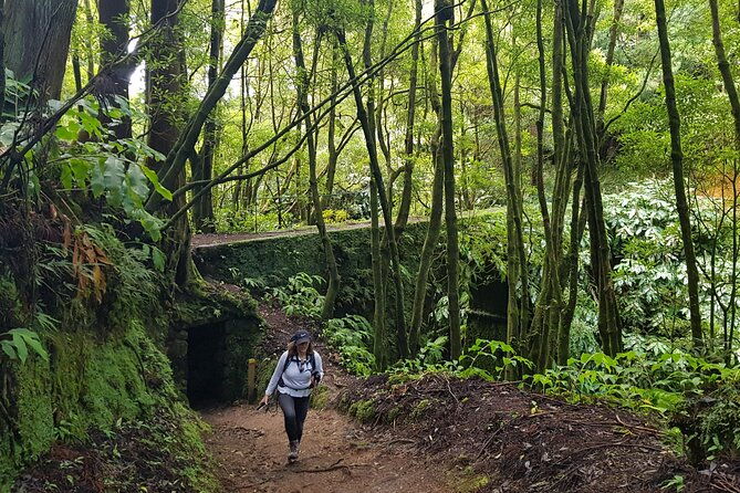 3-hours-guided-forest-bathing-hike-in-portugal