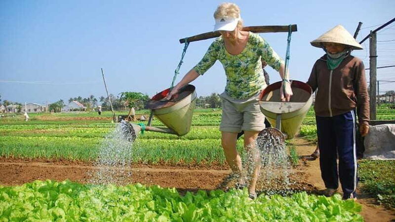 3-hours-hoi-an-countryside-bicycle-tour