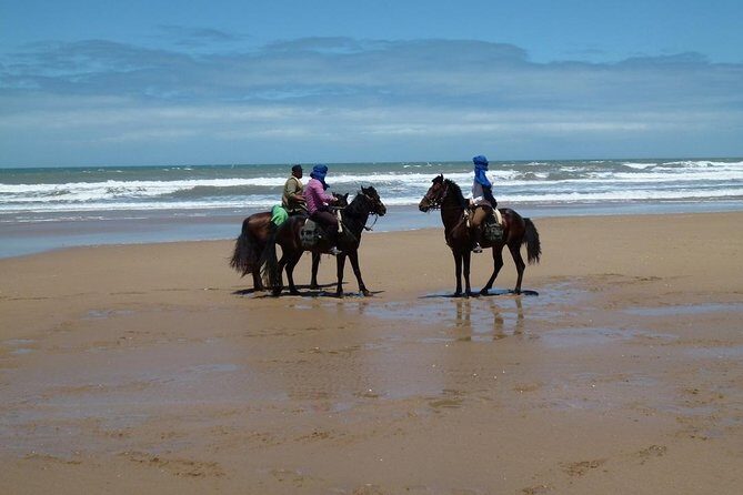 3 hours horse riding in Essaouira, beach, forest and dunes - An In-Depth Look at the 3-Hour Horseback Ride Experience