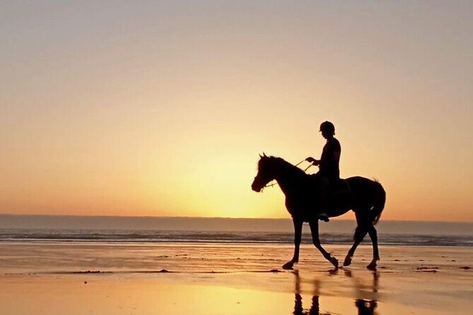 3 hours horse riding in Essaouira, beach, forest and dunes - Final Thoughts: Who Is This Tour Best For?