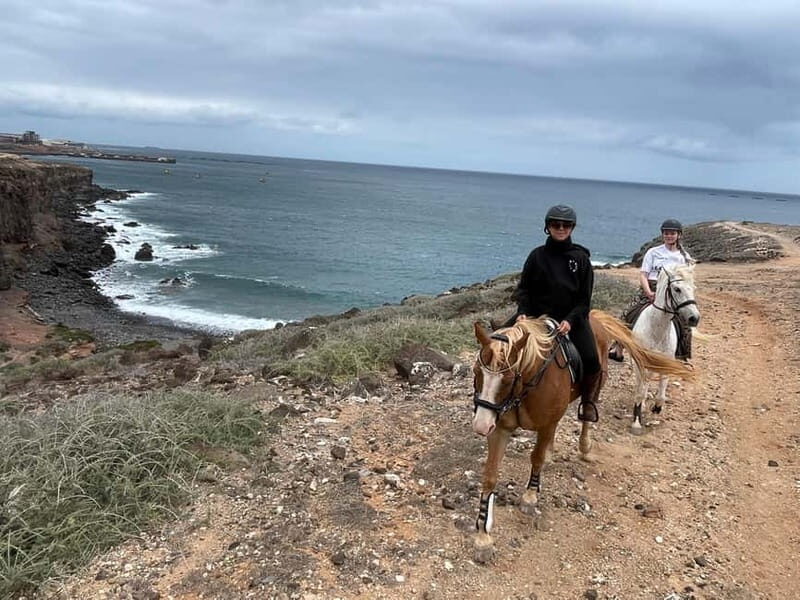 3 hours Horse Riding Tour to the Coast - Key Points