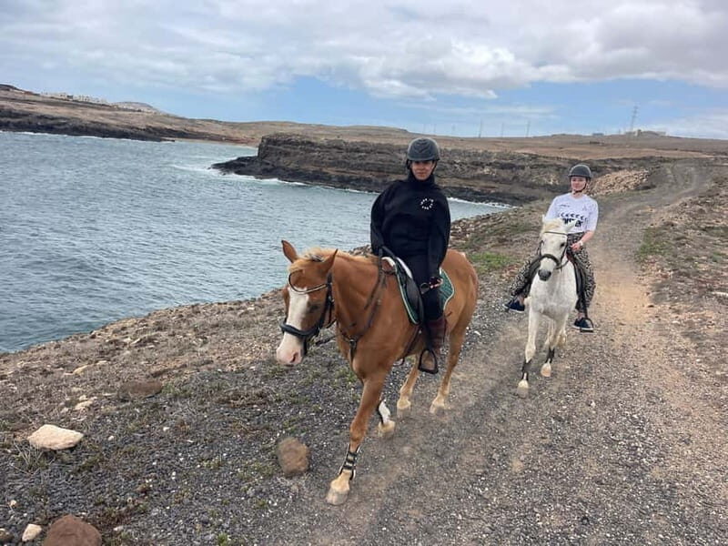3 hours Horse Riding Tour to the Coast - What to Expect During Your Ride