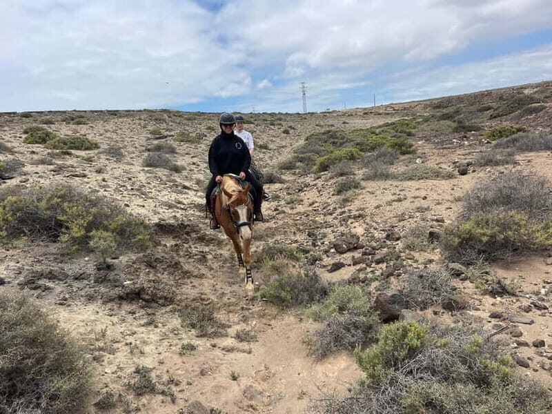 3 hours Horse Riding Tour to the Coast - Price and Value