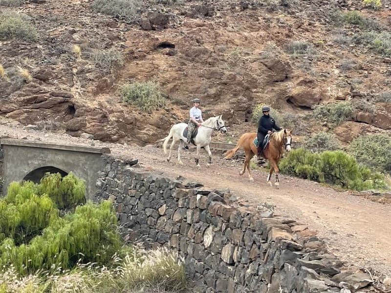 3 hours Horse Riding Tour to the Coast - Additional Tips for Participants