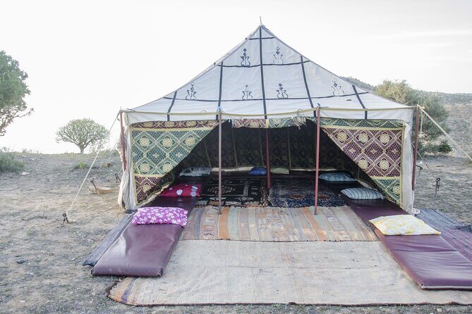 3 Hours Horse Riding with Dinner and Overnight Berber Camp - Final Thoughts