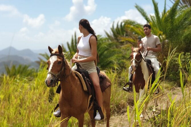 3-hours-horseback-riding-from-nature-trails-to-sofa-stone