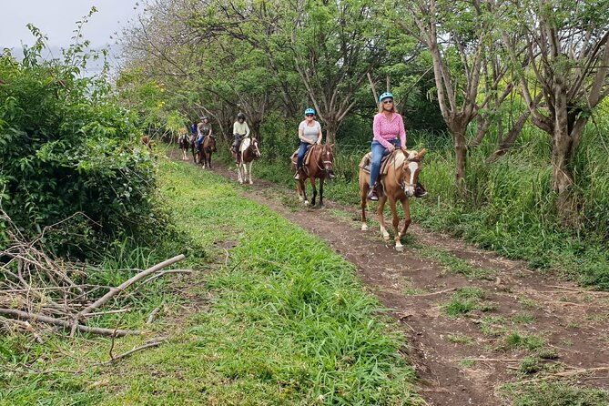3-hours-horseback-riding-from-nature-trails-to-sofa-stone