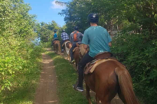 3-hours-horseback-riding-from-nature-trails-to-sofa-stone