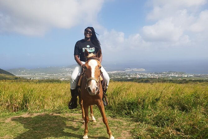 3-hours-horseback-riding-from-nature-trails-to-sofa-stone