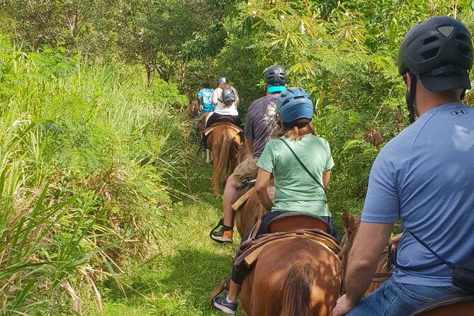 3-hours-horseback-riding-from-nature-trails-to-sofa-stone