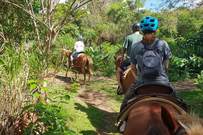 3-hours-horseback-riding-from-nature-trails-to-sofa-stone