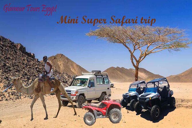3 hours Mini Super Safari (Family Safari) - What to Expect from the Itinerary