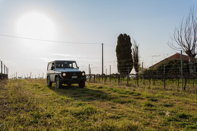 3-hours-of-activities-with-safari-grand-tour-and-tasting-in-vineyards