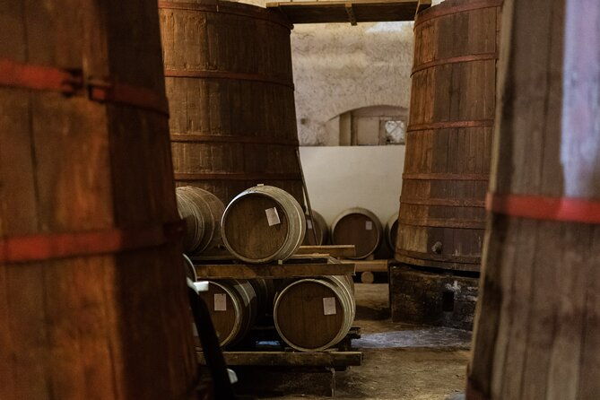 3-hours-of-activities-with-safari-grand-tour-and-tasting-in-vineyards