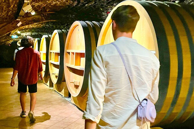 3-hours-of-tour-in-the-wines-of-chateauneuf-du-pape