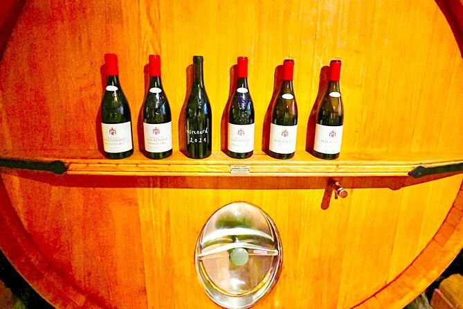 3-hours-of-tour-in-the-wines-of-chateauneuf-du-pape