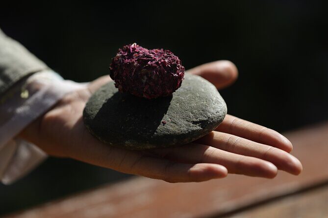 3 Hours Private Food Tasting in Tukcha - Introduction: A Unique Taste of Ladakh’s Culinary Spirit