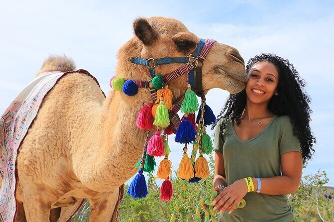 3 Hours Quad & Bedouin village with Camel Ride From Marsa Alam - The Itinerary: What to Expect from Start to Finish