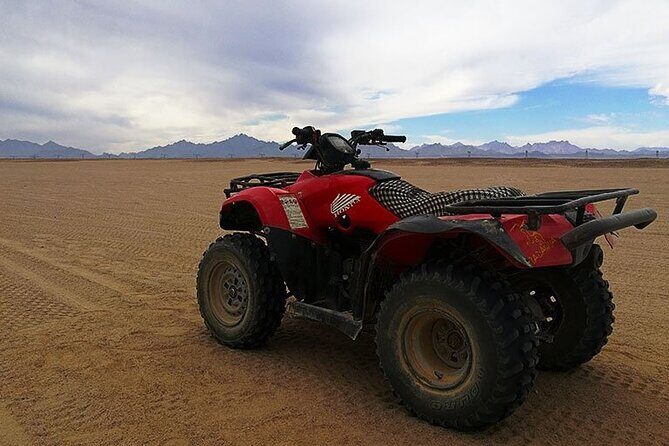 3 Hours Quad Bike Desert Safari with Camel Ride from Marsa Alam - Key Points