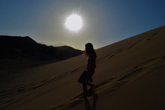 3 Hours Quad Bike Desert Safari with Camel Ride from Marsa Alam - Final Thoughts