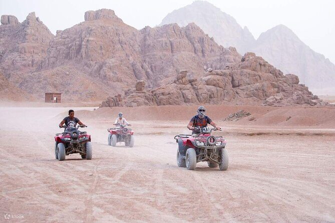 3 Hours Quad Bike with Camel Ride From Sharm El-Sheikh - Key Points