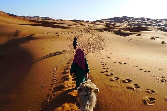 3 hours Quad Safari Sunset & Camel Ride With Transfer - Hurghada - Authentic Insights from Reviewers