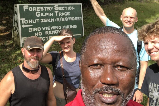 3-hours-rainforest-walk-in-tobago-private-lunch-hummingbirds