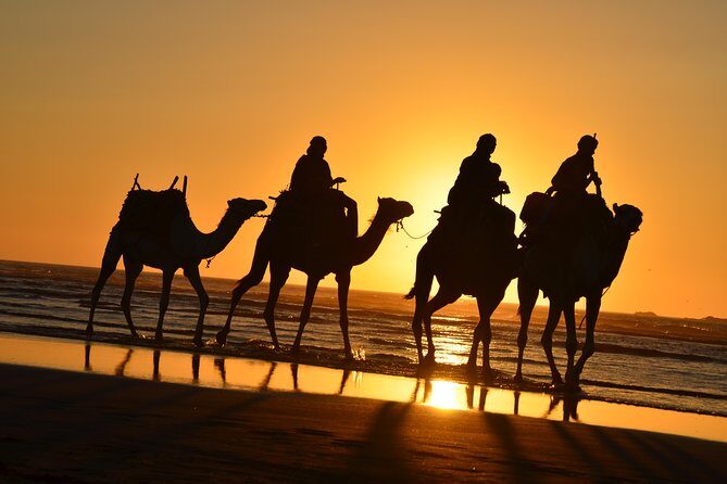 3 hours ride on camel at sunset - The Itinerary: A Step-by-Step Breakdown