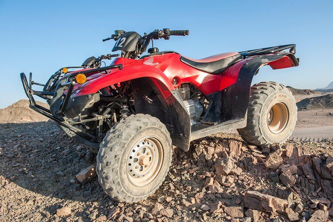 3 Hours Safari Afternoon By ATV Quad & Camel Ride With Transfer - Marsa Alam - Is This Tour Right for You?