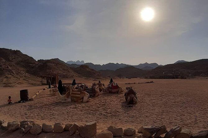 3 Hours Safari by Quad Bike - Hurghada - Authentic Experiences and What You’ll Love