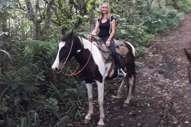 3-hours-small-group-horseback-riding-experience-in-banos