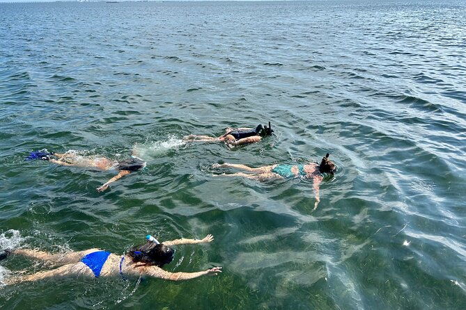 3-hours-snorkeling-excursion-in-south-padre-island