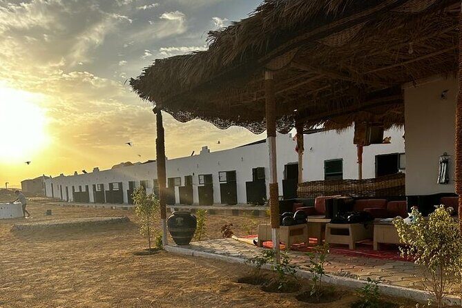 3 Hours Sunrise Horse Riding Beach and Desert from Marsa Alam - FAQs