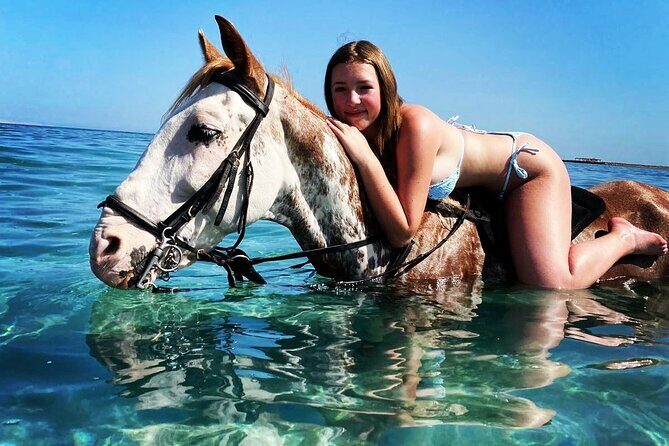 3 Hours Swimming By Horse in Red Sea Riding on the Beach and Dessert - Hurghada - What to Expect from the Red Sea Horse Riding Tour