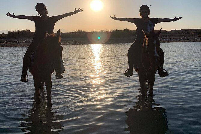 3 Hours Swimming By Horse in Red Sea Riding on the Beach and Dessert - Hurghada - Practical Tips for Enjoying Your Horseback Adventure