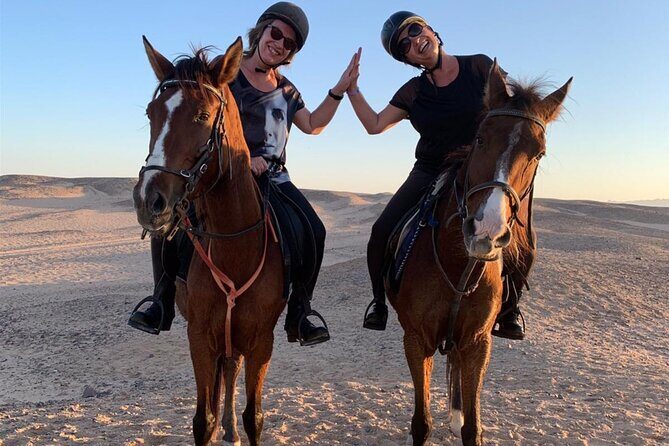 3 Hours Swimming By Horse in Red Sea Riding on the Beach and Dessert - Hurghada - Who Is This Tour Best For?