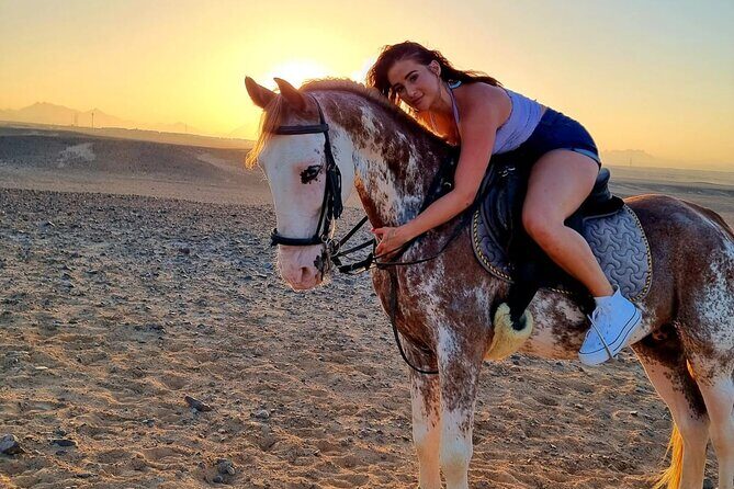 3 Hours Swimming By Horse in Red Sea Riding on the Beach and Dessert - Hurghada - Frequently Asked Questions