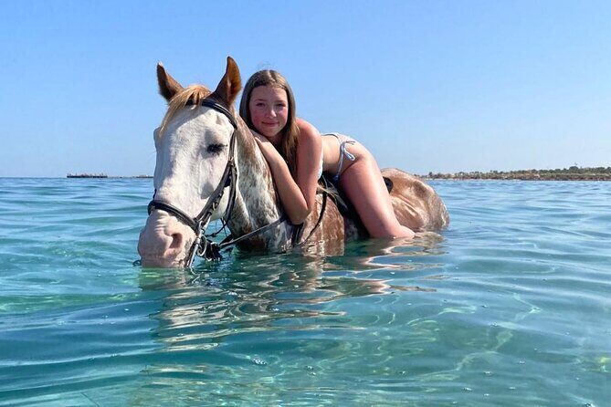3 Hours Swimming By Horse in Red Sea Riding on the Beach and Dessert - Hurghada - The Sum Up