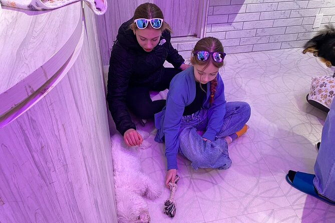 3-hours-tokyo-tour-with-personal-photographer