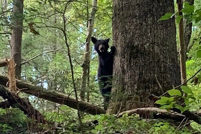 3-hr-smoky-mountain-cherokee-blue-ridge-parkway-jeep-adventure-2
