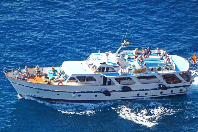 3-hrs-boat-excursion-for-whale-watching-from-valle-gr-la-gomera