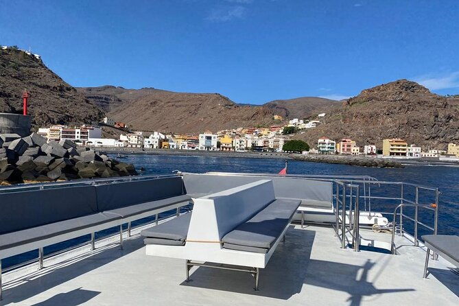 3-hrs-boat-excursion-for-whale-watching-from-valle-gr-la-gomera