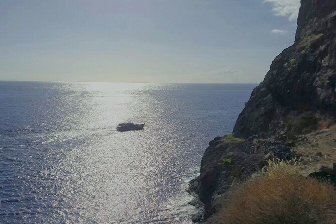 3-hrs-boat-excursion-for-whale-watching-from-valle-gr-la-gomera