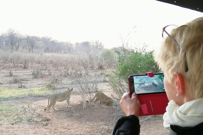 3 hrs Game drive in Chobe National Park (Leon Safaris Gold) - FAQ