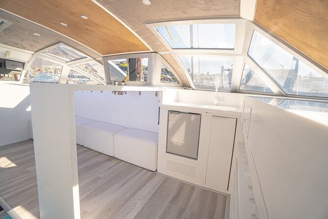 3-hrs-whale-watching-and-relaxing-chill-out-catamaran-with-glass-floor