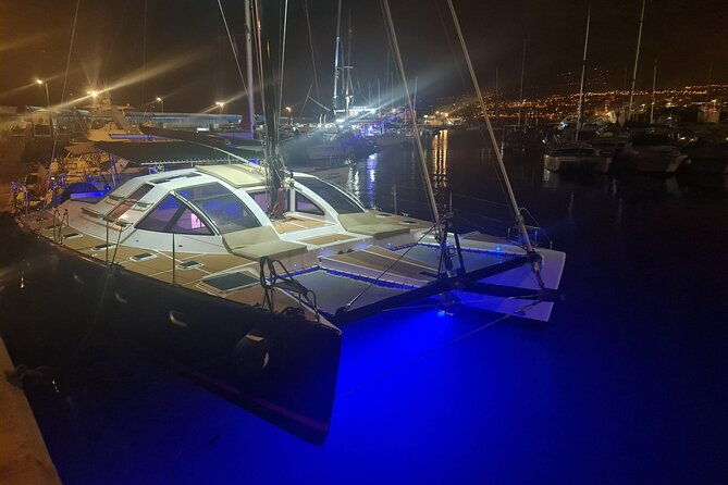 3-hrs-whale-watching-and-relaxing-chill-out-catamaran-with-glass-floor