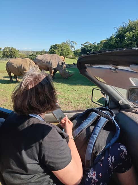 3 in 1 Adventure: ADDO SAFARI - CITY TOUR & KRAGGA KAMMA - Final Thoughts: Is This Tour Right for You?