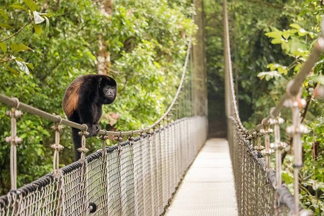 3-in-1-combo-la-fortuna-waterfall-hanging-bridges-thermal-spa-from-san-jose