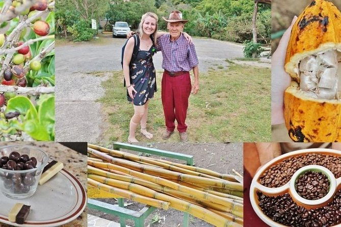 3-in-1-monteverde-cloud-forest-coffee-chocolate-and-sugar-cane-tour