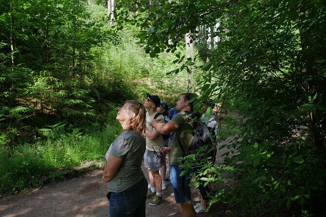 3 in 1 Tour Brewery & Castle in Bohemian Paradise Unesco Geopark - Exploring the Scenic Bohemian Paradise